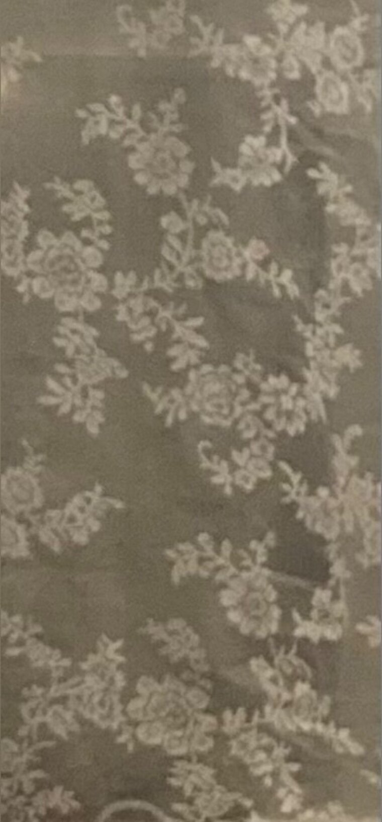 Lola banner image