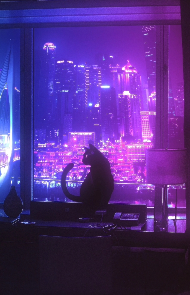 Lobby Cat cover image