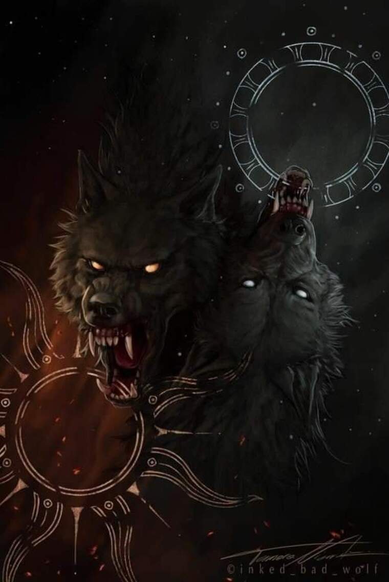 Lobo 🐺 cover image