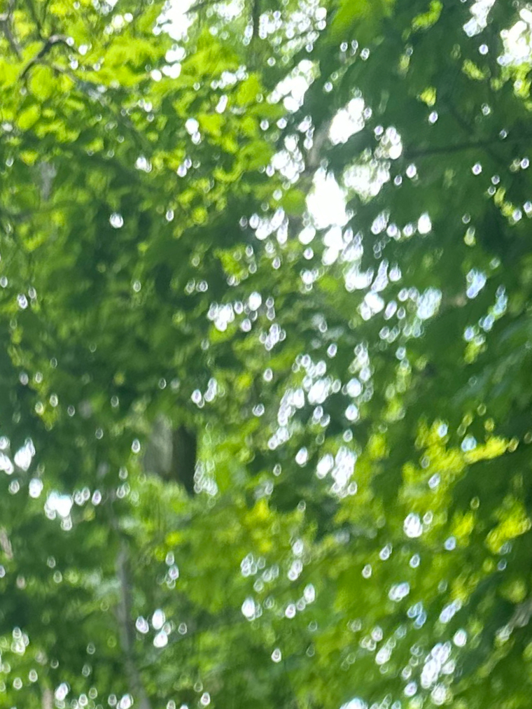 Location sex banner image