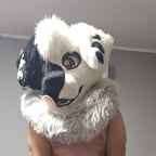 Locky avatar