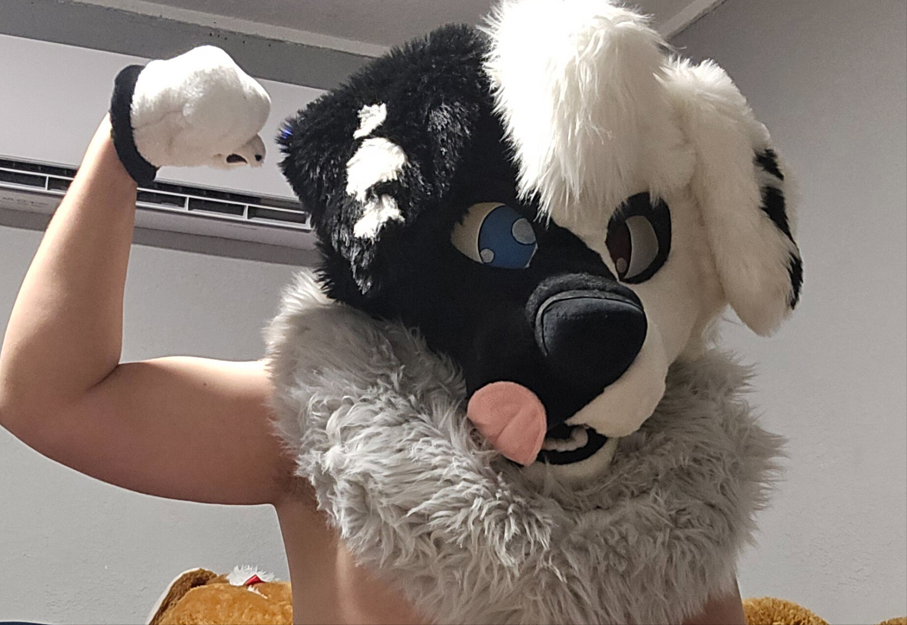 Locky banner image