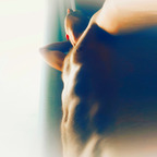 Daddy Logan Iorworth avatar