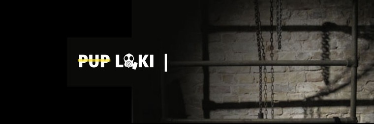 Loki cover image