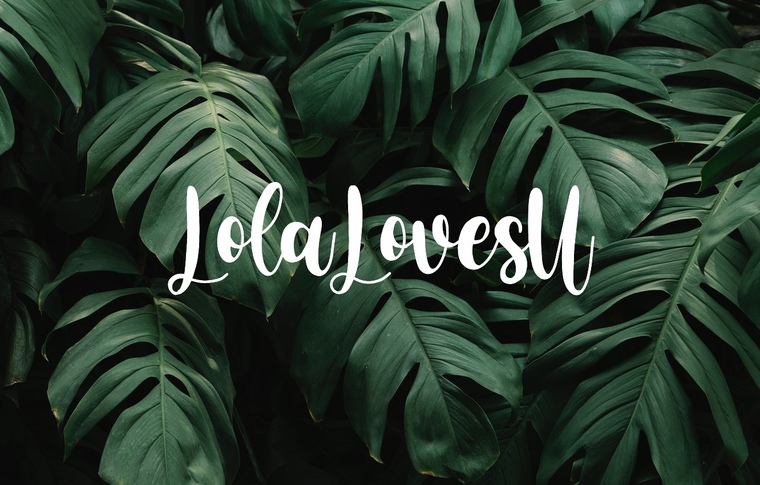 ๐ธ Lola ๐ธ banner image