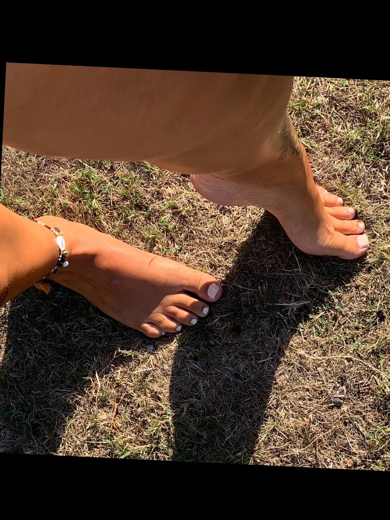 Lola banner image