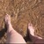 Lola avatar