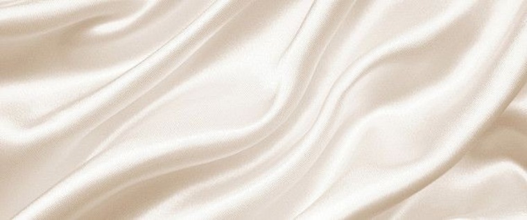 Lola banner image
