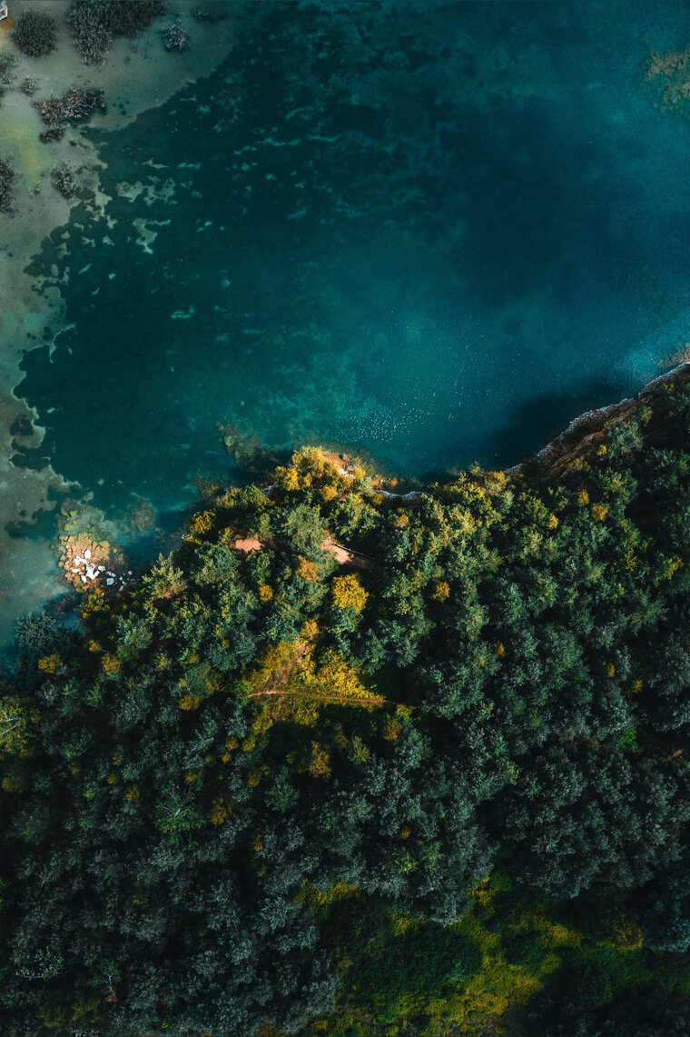 Lola cover image