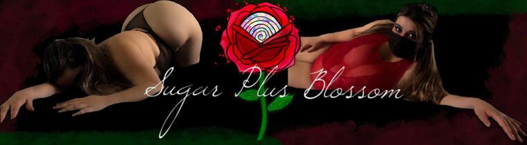 Sugar PLUS Blossom cover image