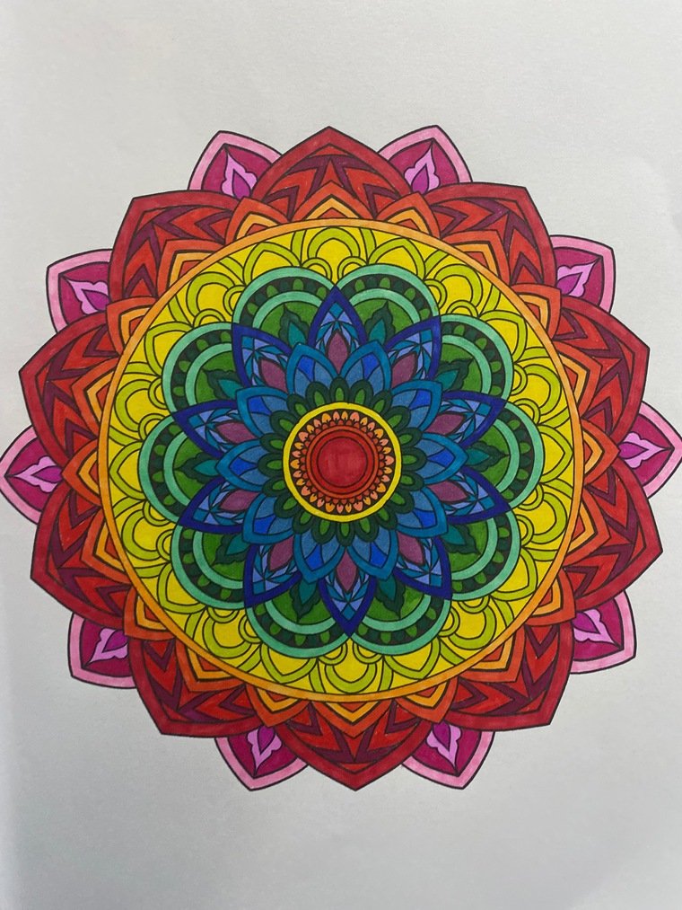 Lola banner image