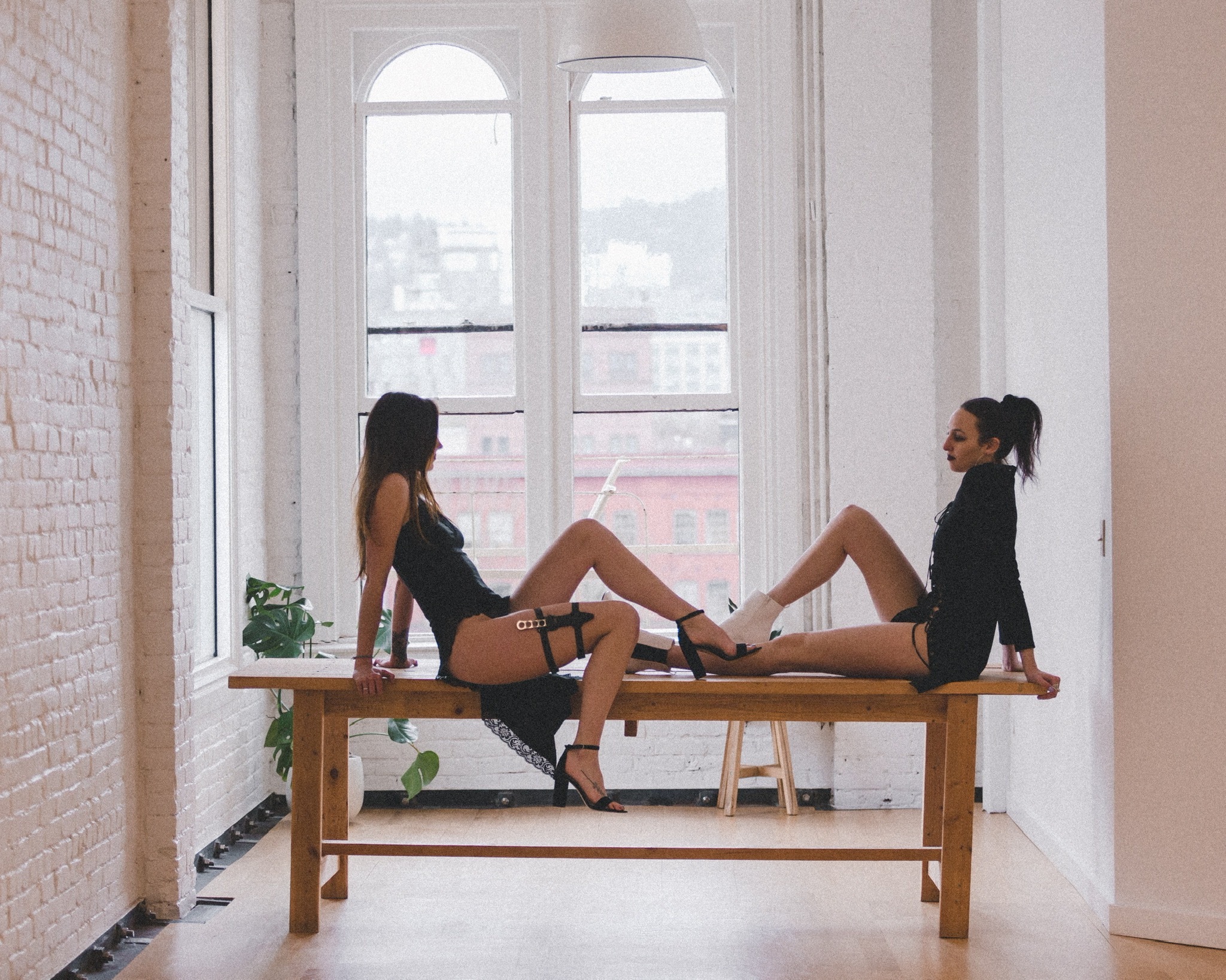 L.V. & Sophie banner image