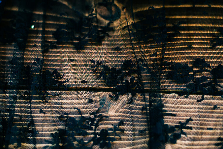 LoMonroe cover image