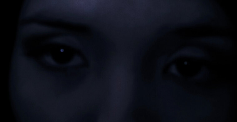 London Wren banner image