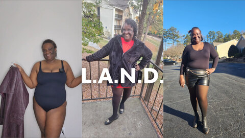 L.A.N.D cover image