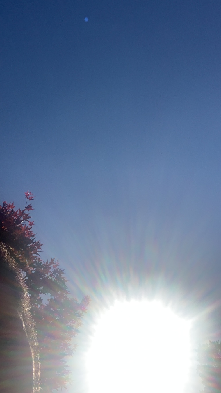 TJ banner image