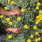 Petite Feet avatar