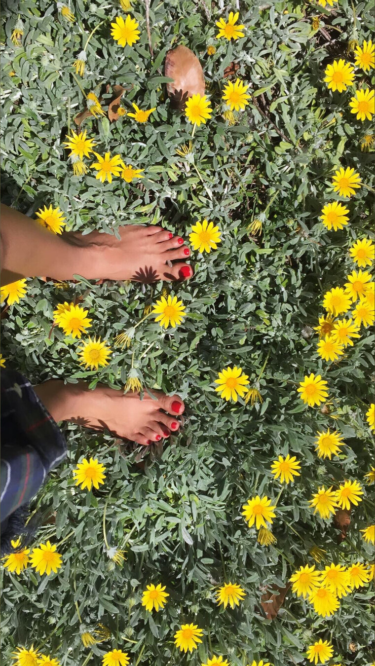 Petite Feet cover image