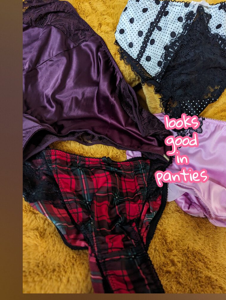 looksgoodinpanties cover image