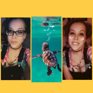 Loren Estepp banner image