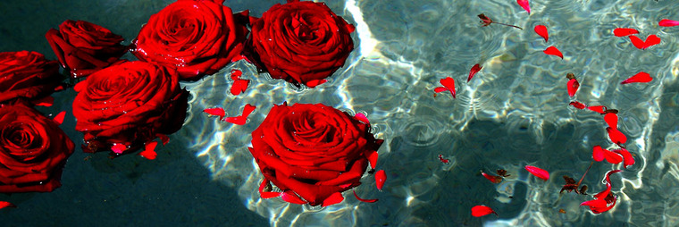 Lord Heartthrob cover image