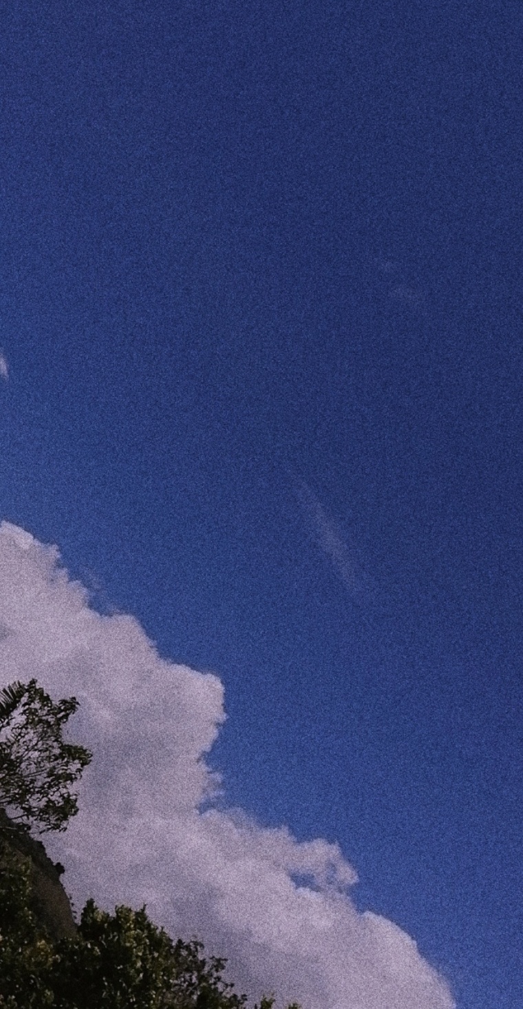 Angie banner image