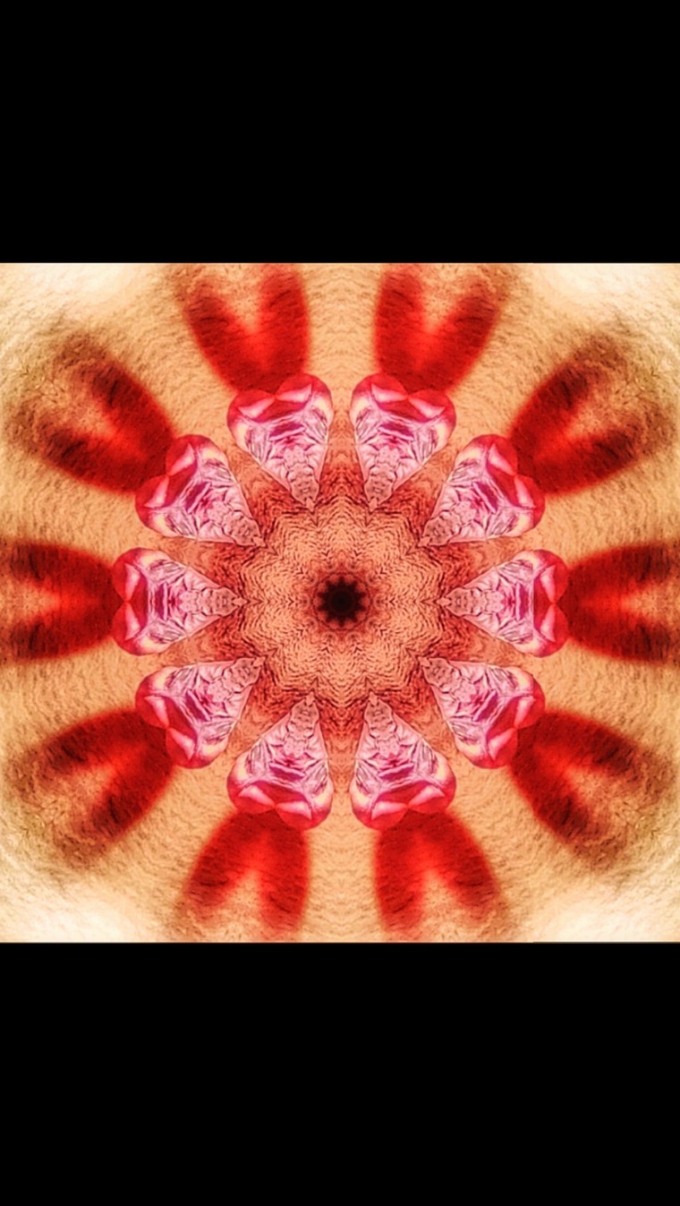 • 𝐋𝐎𝐒𝐓 𝐂𝐀𝐔𝐒𝐄 • cover image