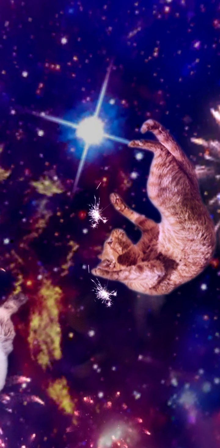 E banner image