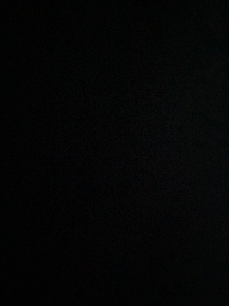 Lottie,19πΆοΈ banner image