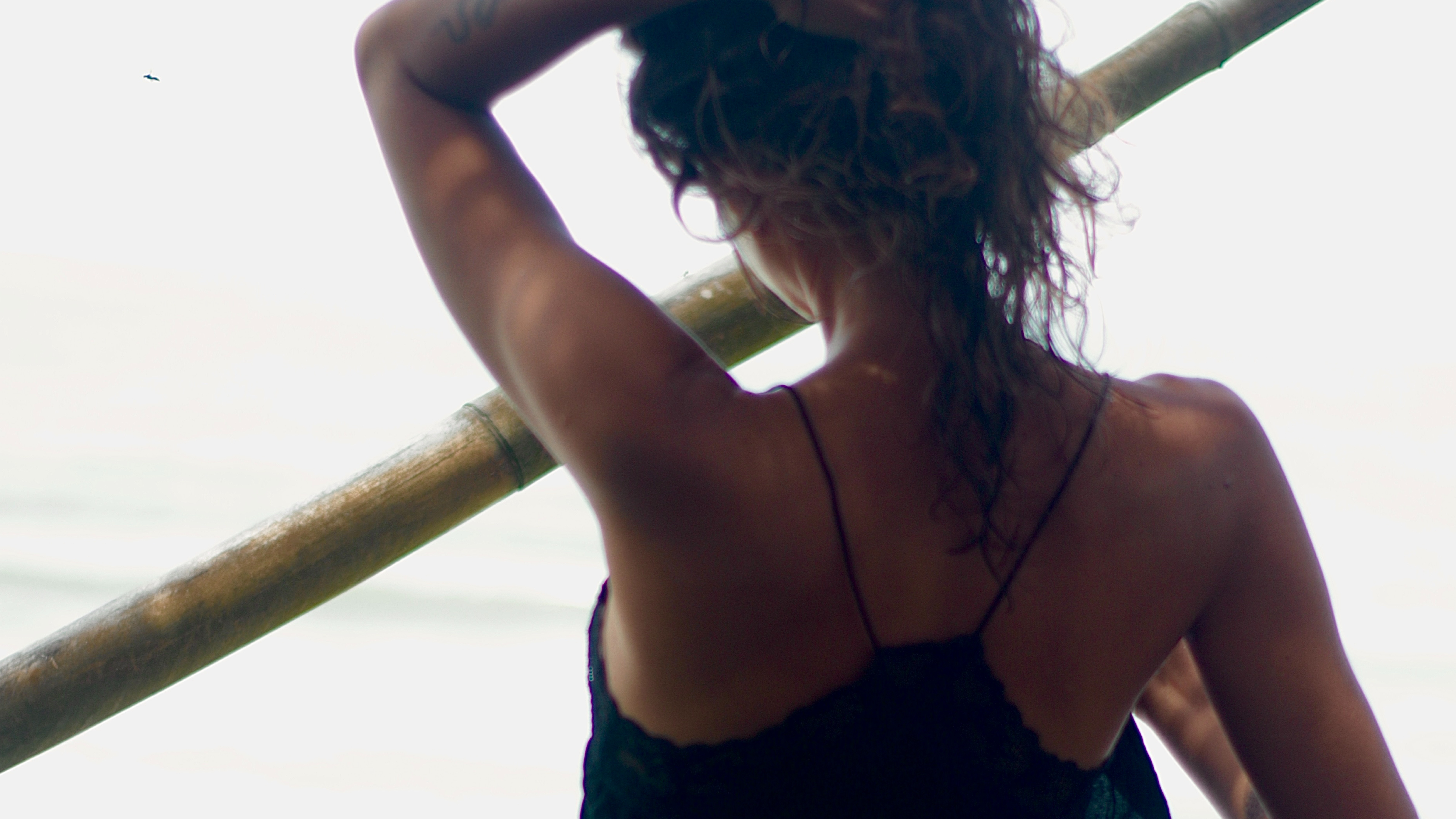 Lotus Blue banner image
