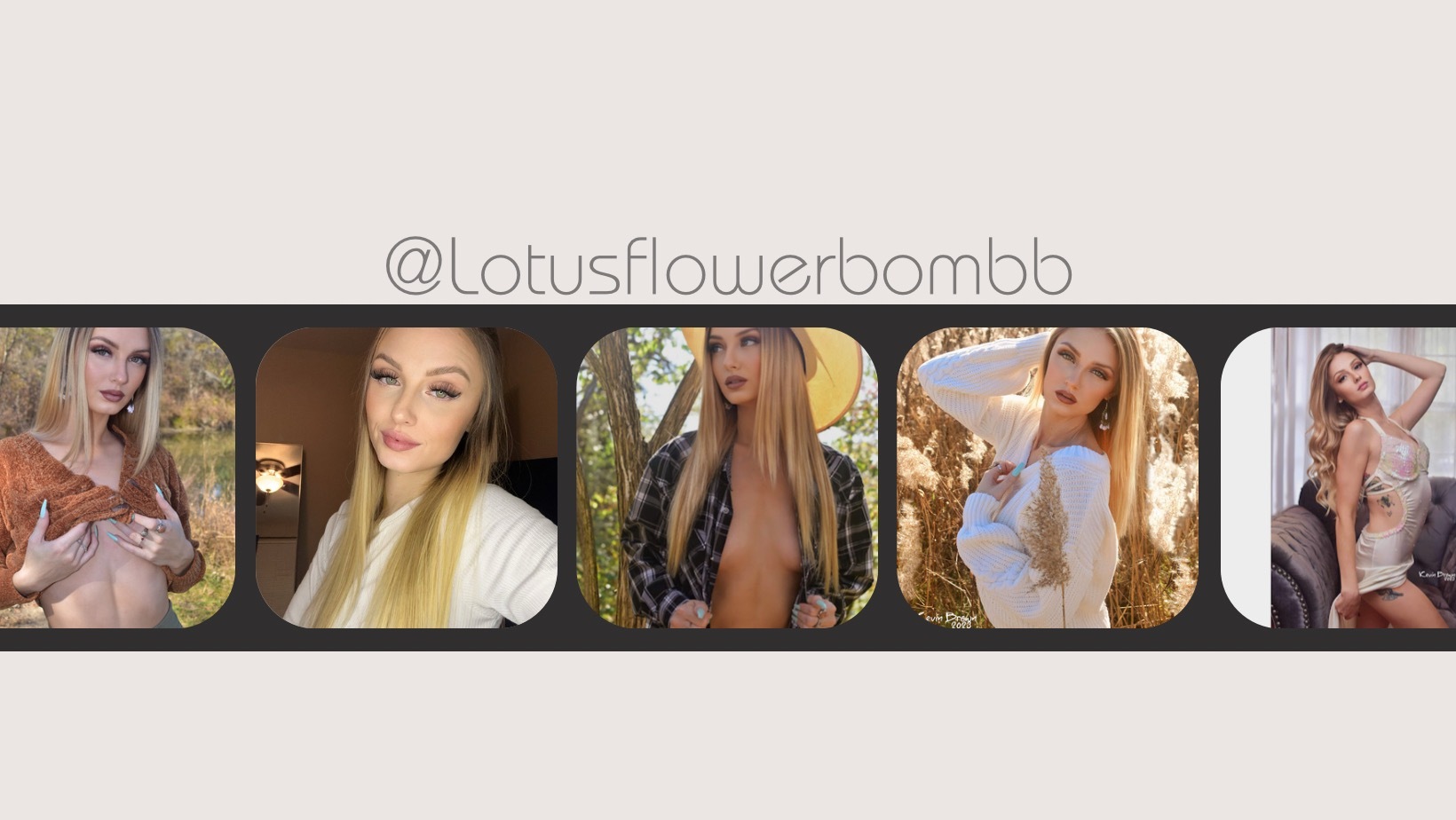 Lotus banner image
