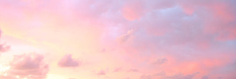 🐝✨ 𝐿𝑜𝓊 ✨🐝 cover image