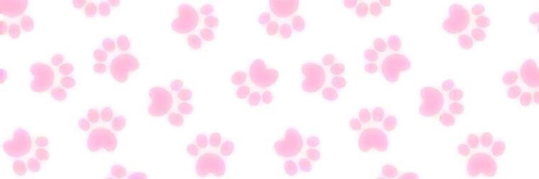 Lovebug Pup cover image