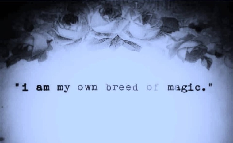 🌙 cover image