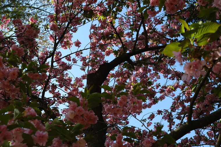 Alison πͺ½ banner image