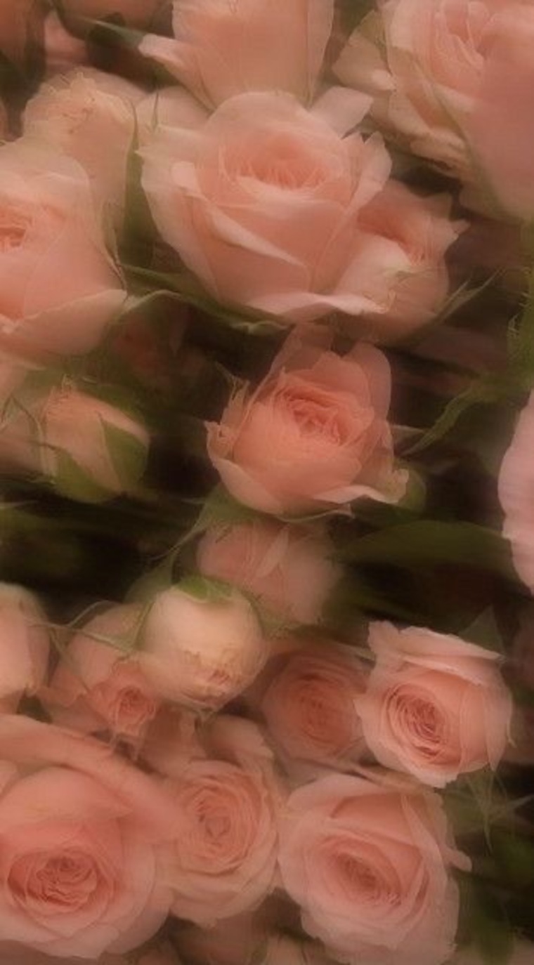 Seruh Loveless banner image