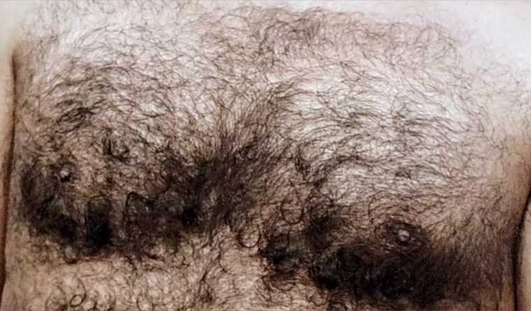 Wolf (Body hair and feet) banner image