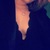 Sweet Anais avatar