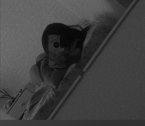 𝓐𝔂𝓵𝓪 cover image