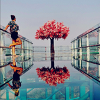 lovely_cherry_travels avatar