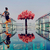 lovely_cherry_travels avatar
