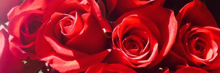 LovelyebonyXXX banner image