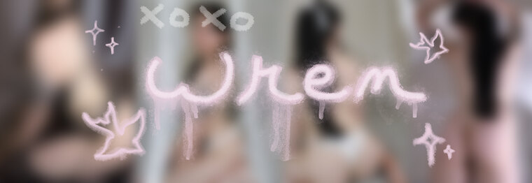 ✧🎀Lovely Wren🎀✧ banner image