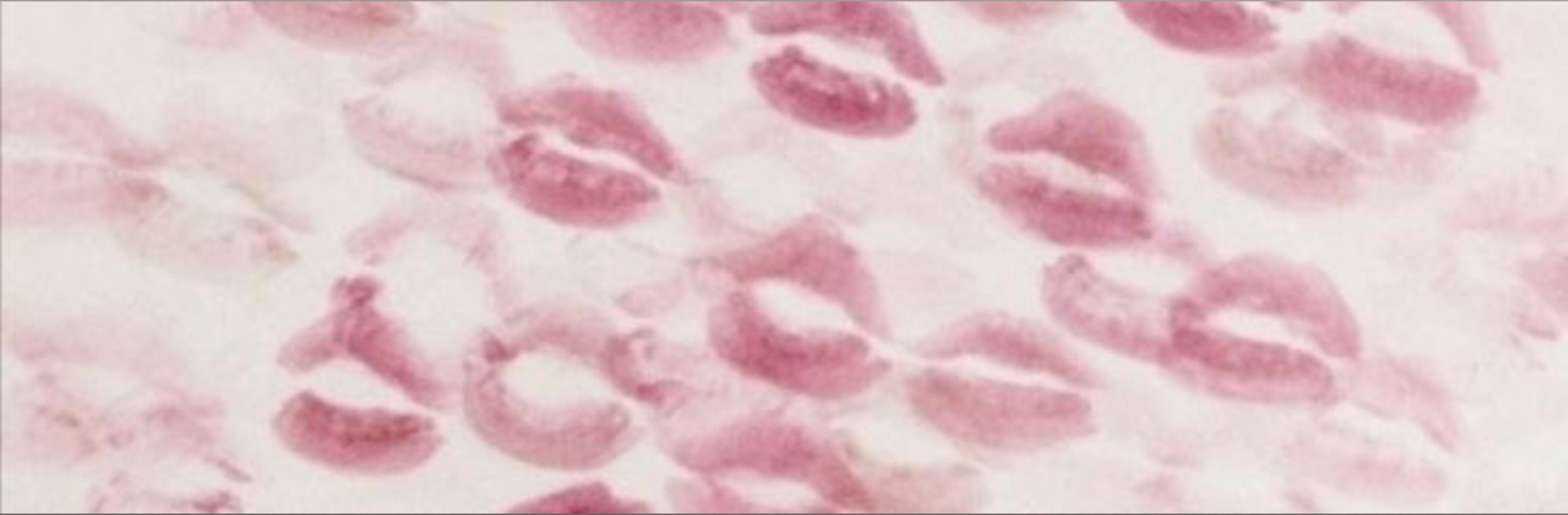 embaby☁️ banner image