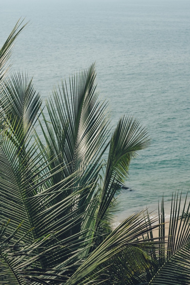 LovelyluzLatina 🌶️ banner image