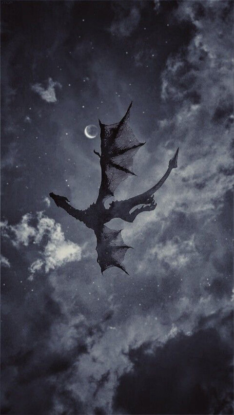 Stella Noir cover image