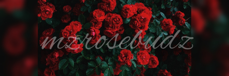 mzrosebudz banner image