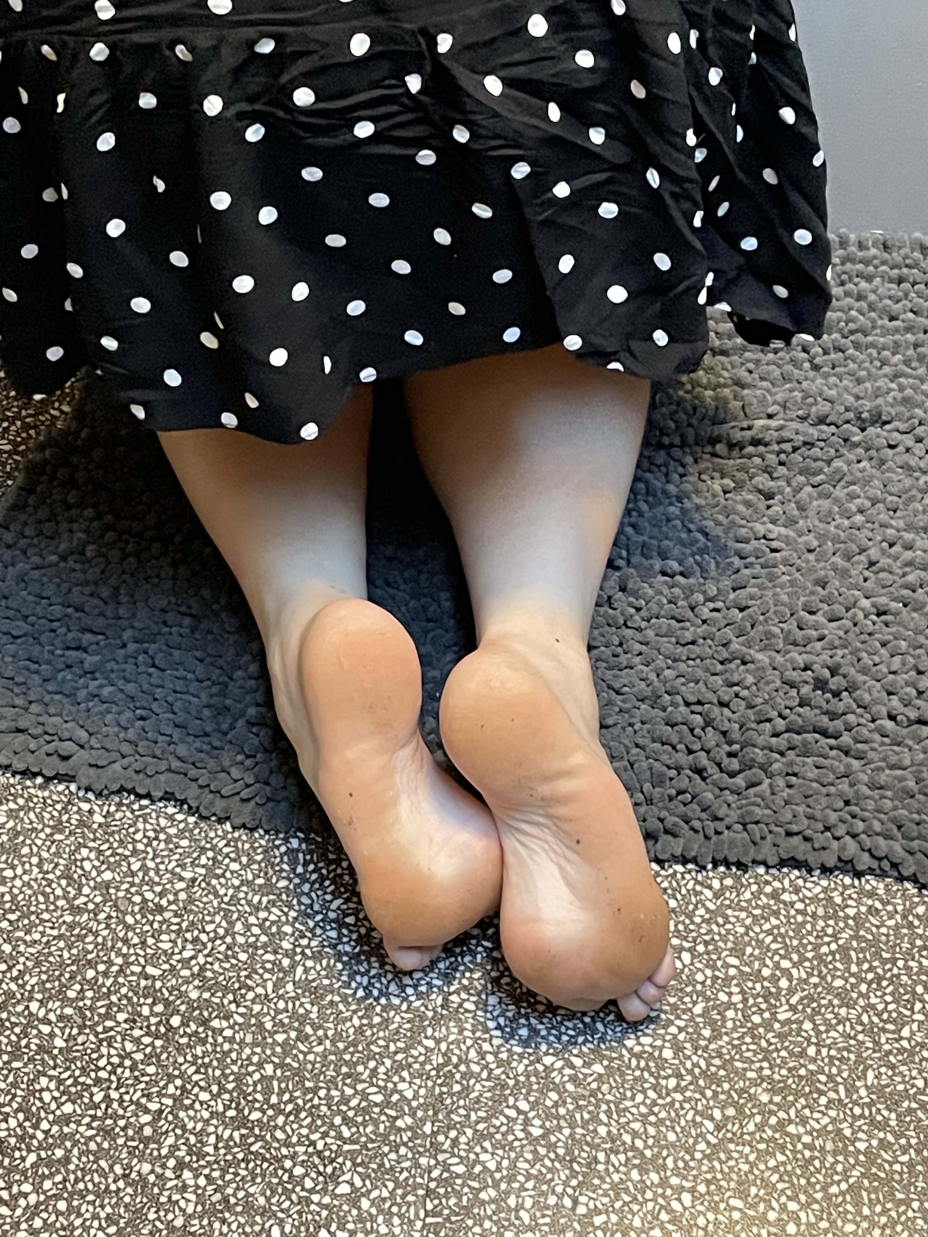 Sophie banner image