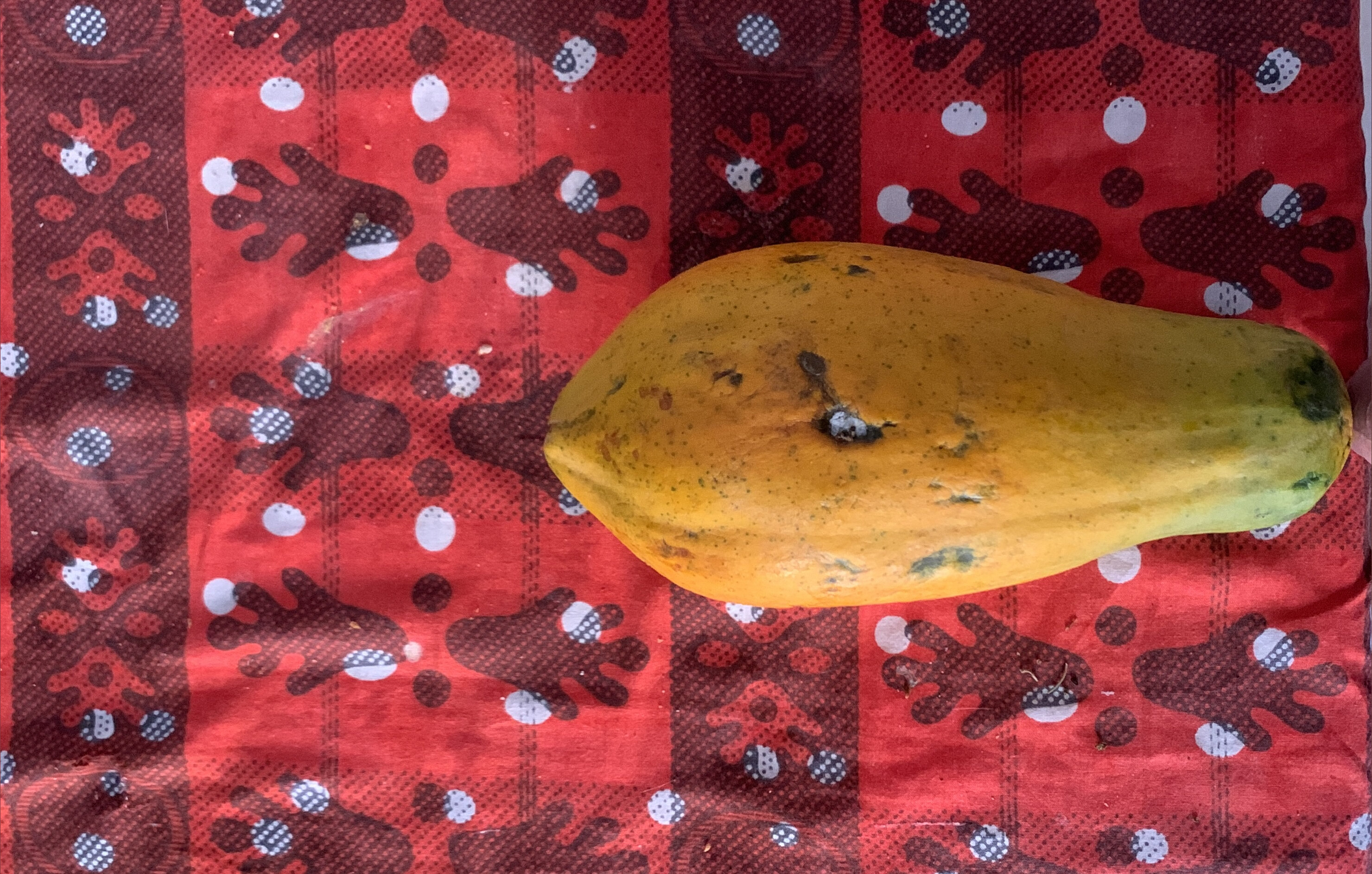 Loving Fruits banner image