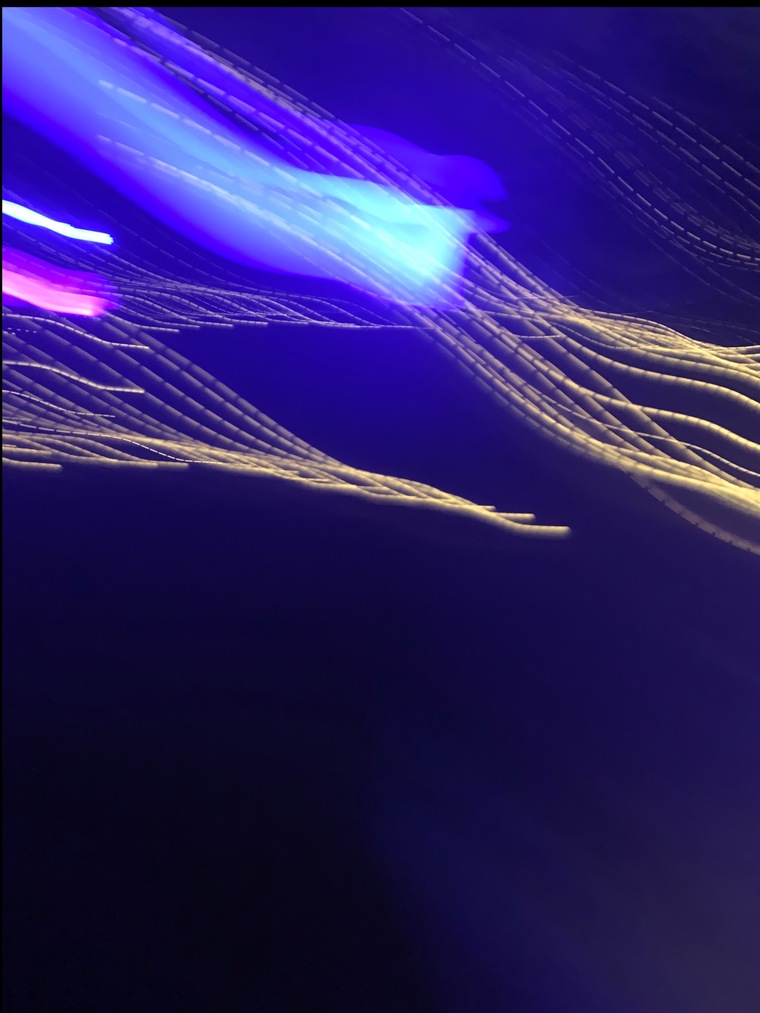 Lunaβ¨π banner image